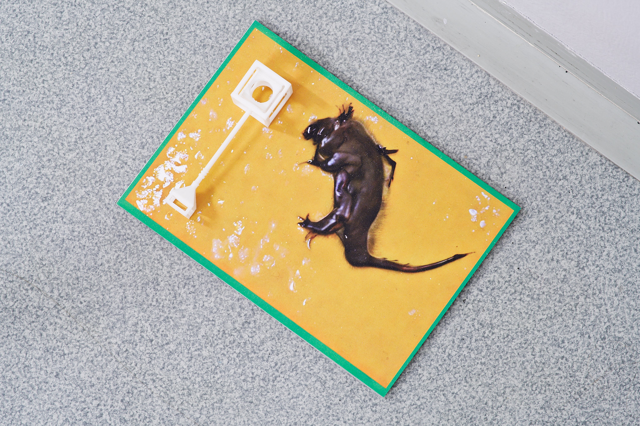 Photo by Polina Davydenko